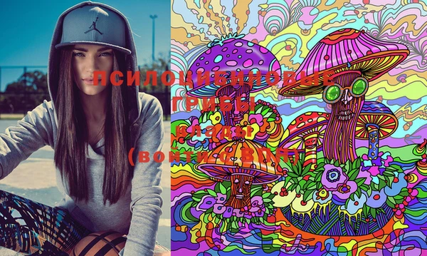 MDMA Premium VHQ Нефтегорск