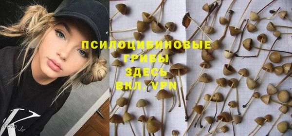 таблы Нея