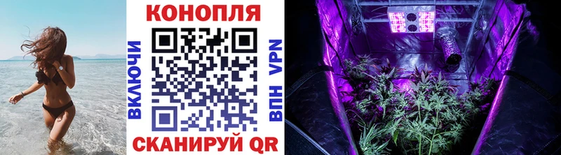 Шишки марихуана Bruce Banner  Островной 